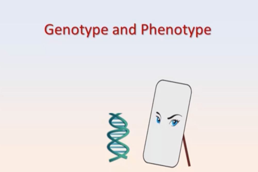 MyReadinessTest Video: Genotype and Phenotype (Labeled as Gene Expression in Study Area) 