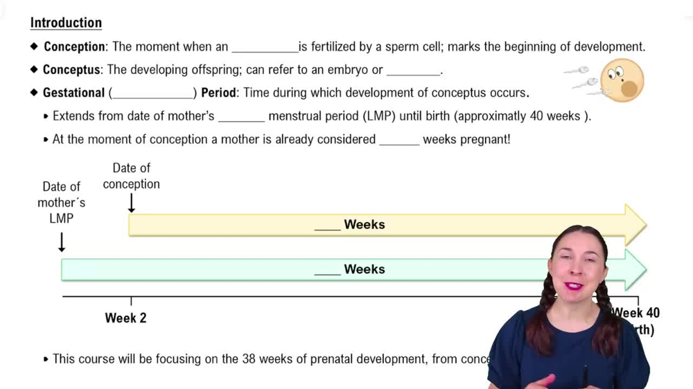 Introduction to Human Development