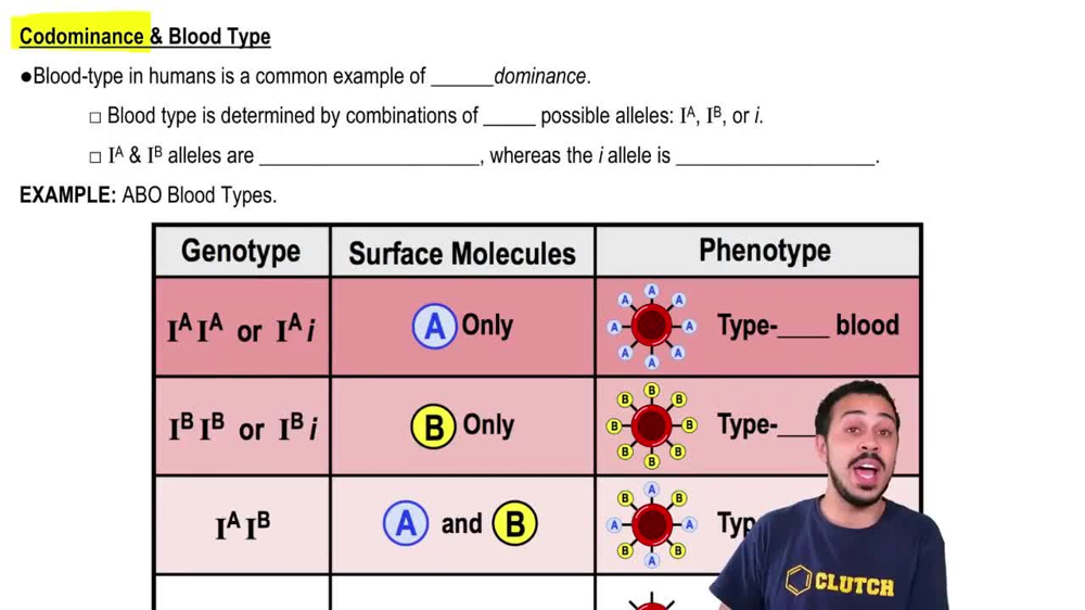 Codominance & Blood Type