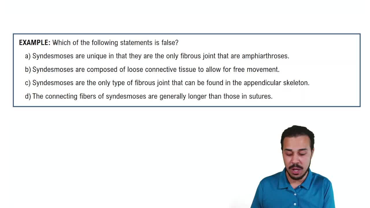 Structural Class: Fibrous Joints Example 3