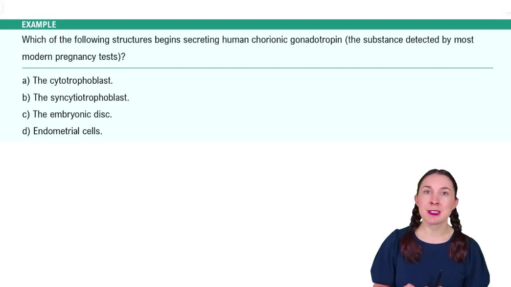 Implantation Example 2