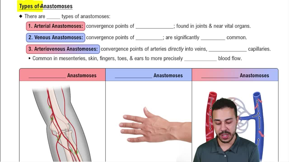 Types of Anastomoses