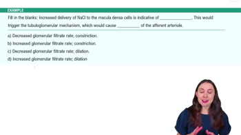 Renal Physiology: Regulation of Glomerular Filtration Example 3