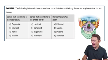 The Skull Example 3