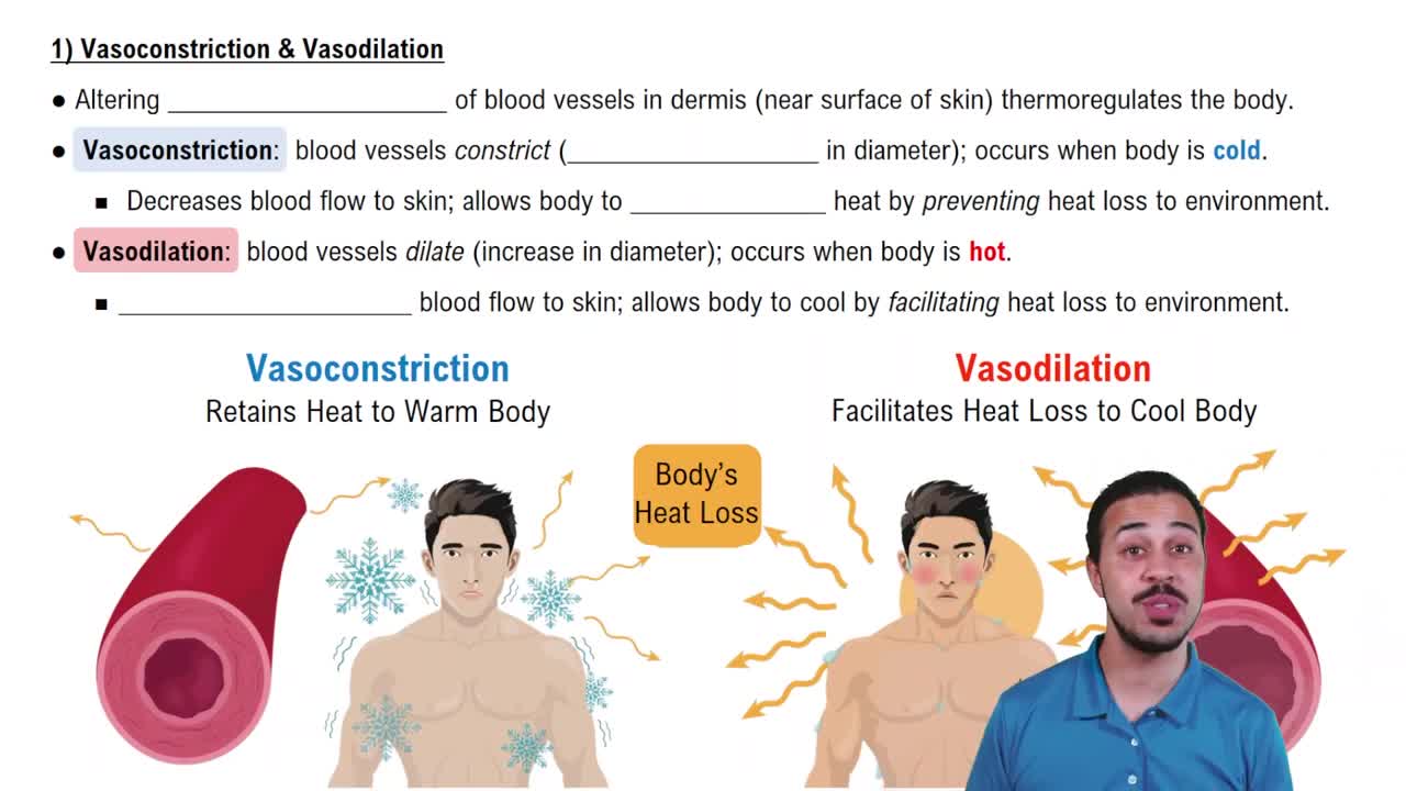 Vasoconstriction & Vasodilation