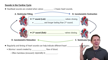 Sounds in the Cardiac Cycle