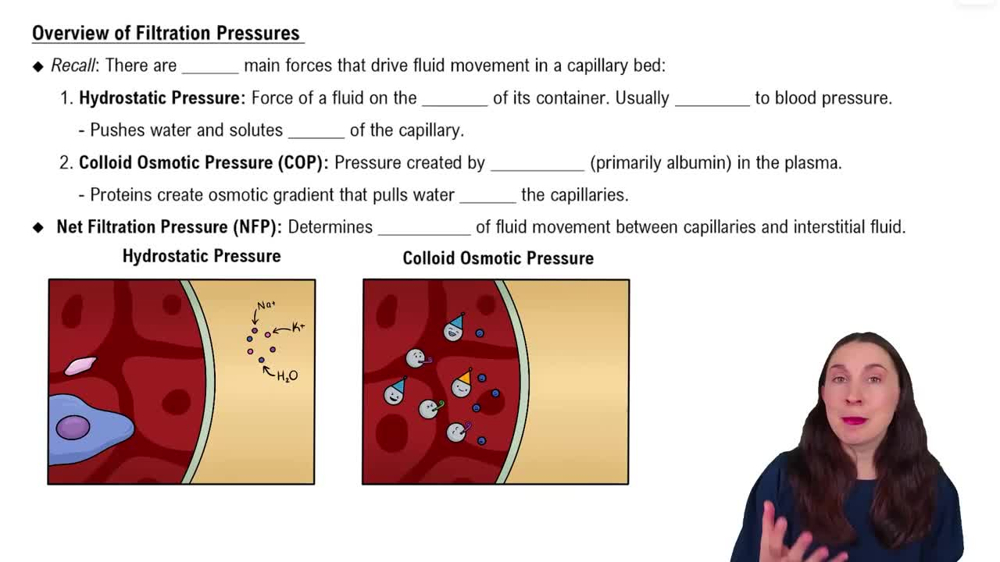 Overview of Filtration Pressures