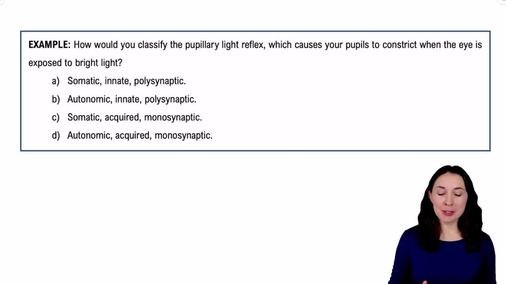 Introduction to Reflex Arcs Example 2