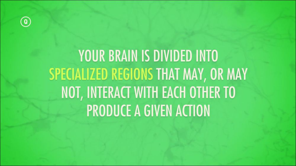 Central Nervous System