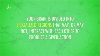 Central Nervous System