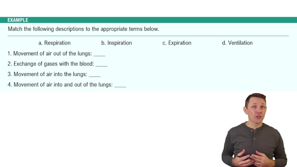 Introduction to Lung Physiology Example 1