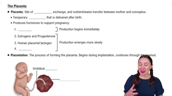 The Placenta