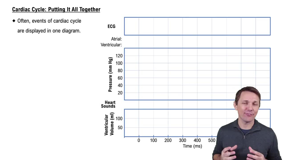 Cardiac Cycle: Putting It All Together
