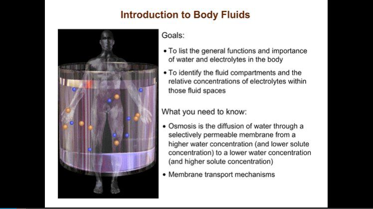Introduction to Body Fluids