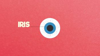 The eye, structure and parts