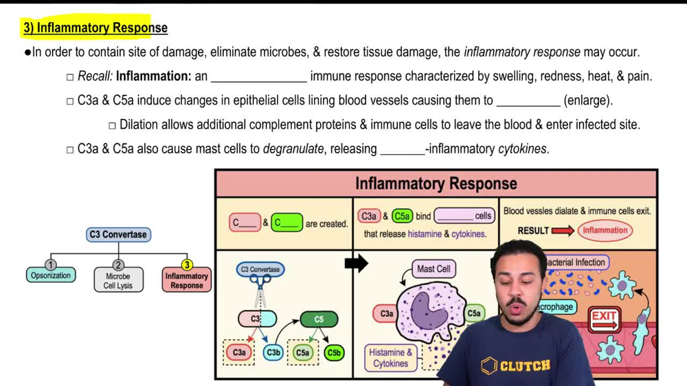 Inflammatory Response