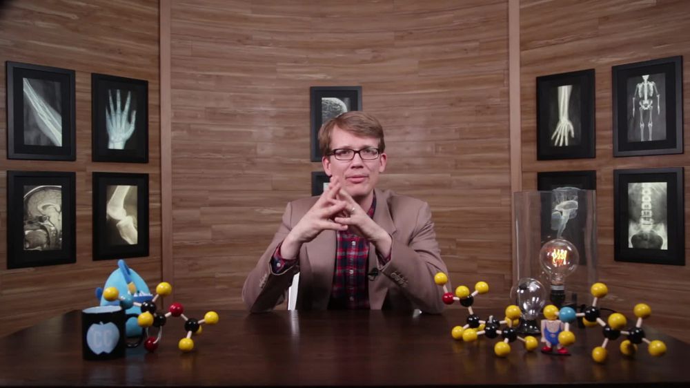 Parasympathetic Nervous System