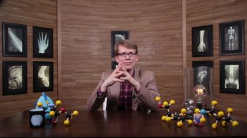 Parasympathetic Nervous System