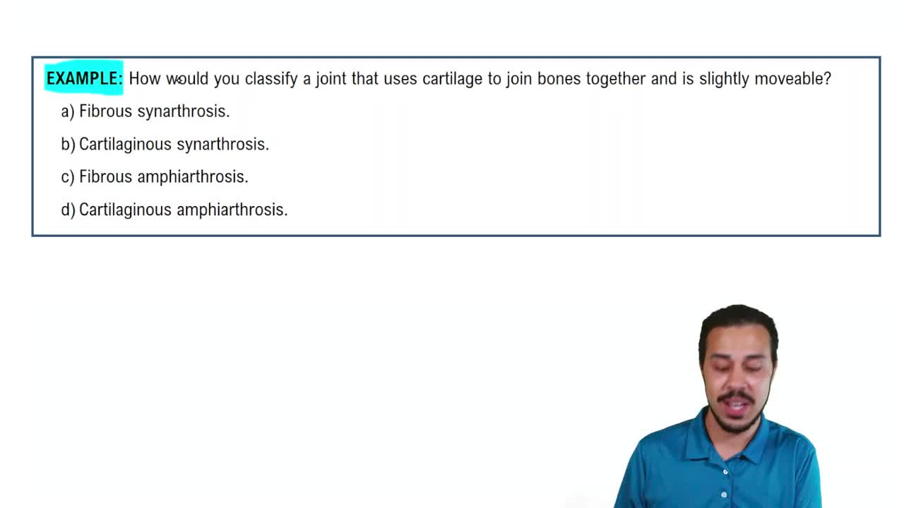 Classification of Joints Example 2