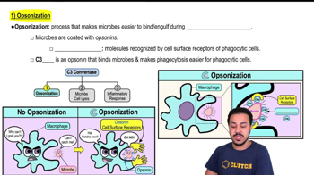 Opsonization