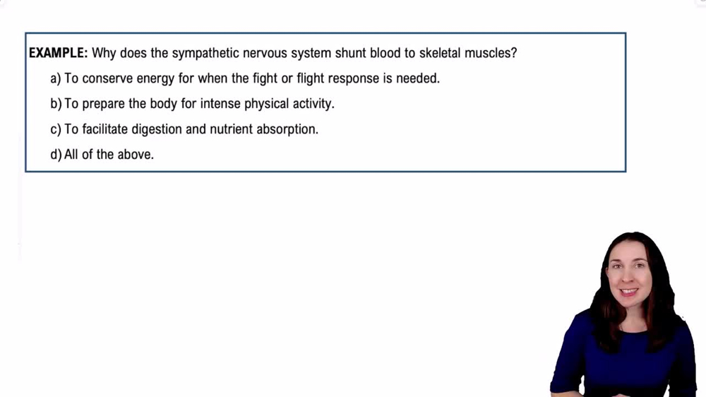 Sympathetic Nervous System Example 1