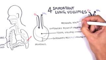 Lung Function - Lung Volumes and Capacities