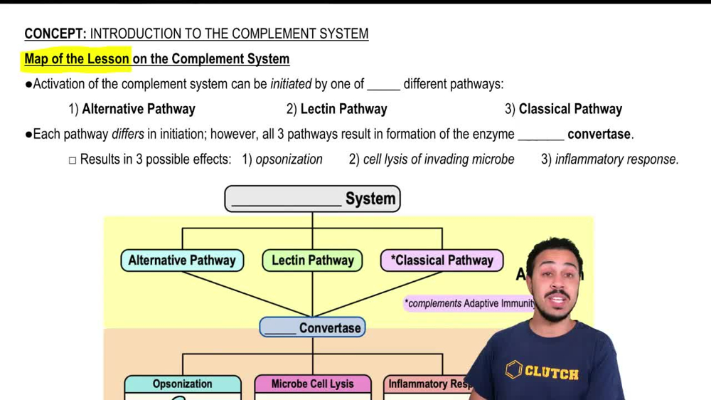 Map of the Lesson on the Complement System