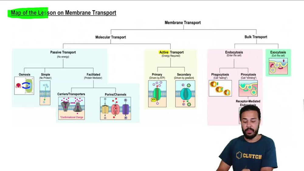Map of the Lesson on Membrane Transport