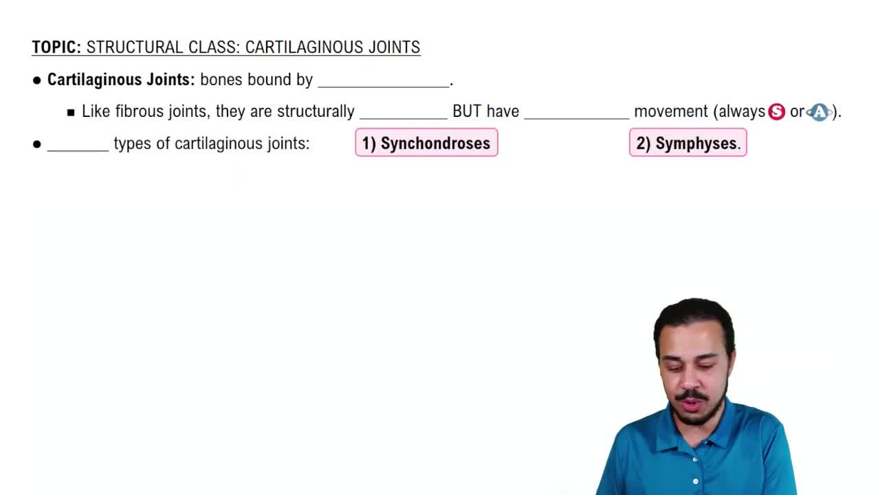 Introduction to Cartilaginous Joints