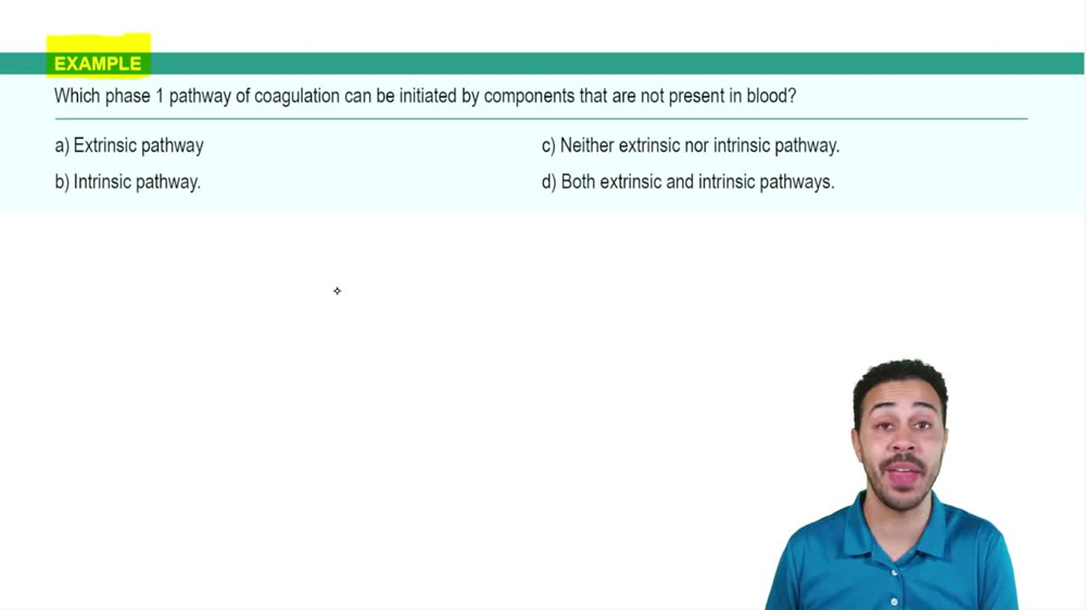 Platelets: Hemostasis Example 5