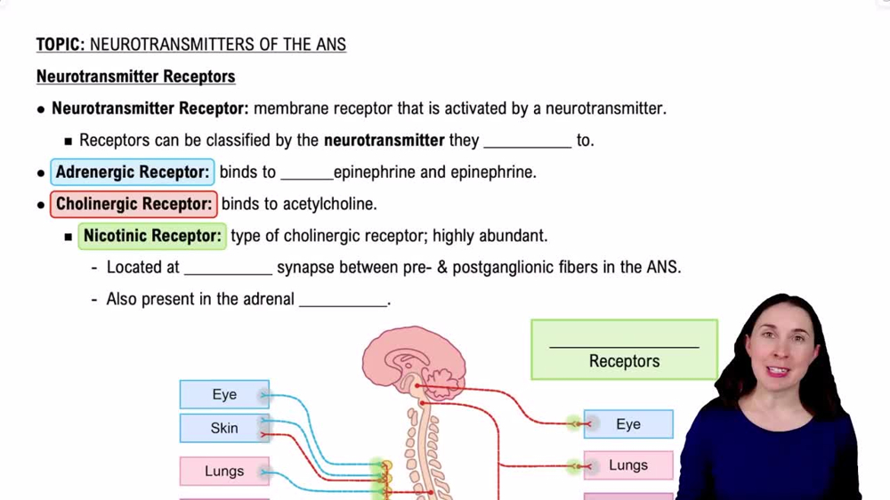 Neurotransmitter Receptors