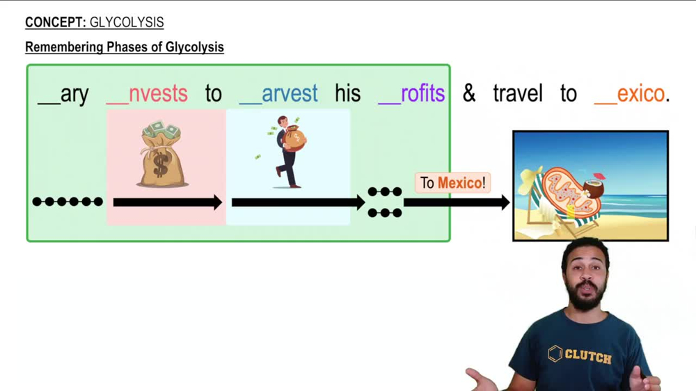 Remembering Phases of Glycolysis
