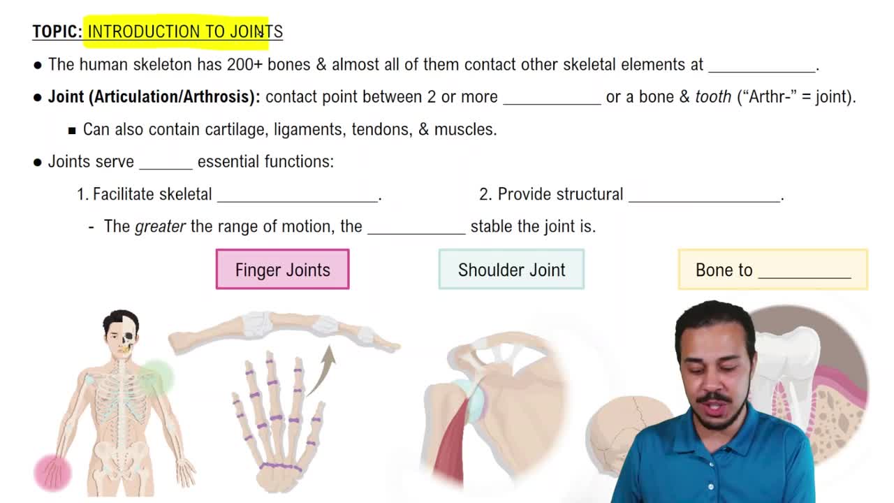 Introduction to Joints