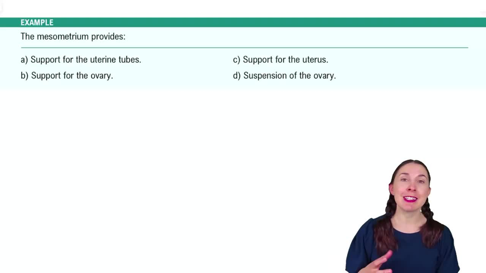 Anatomy of the Female Reproductive System Example 5