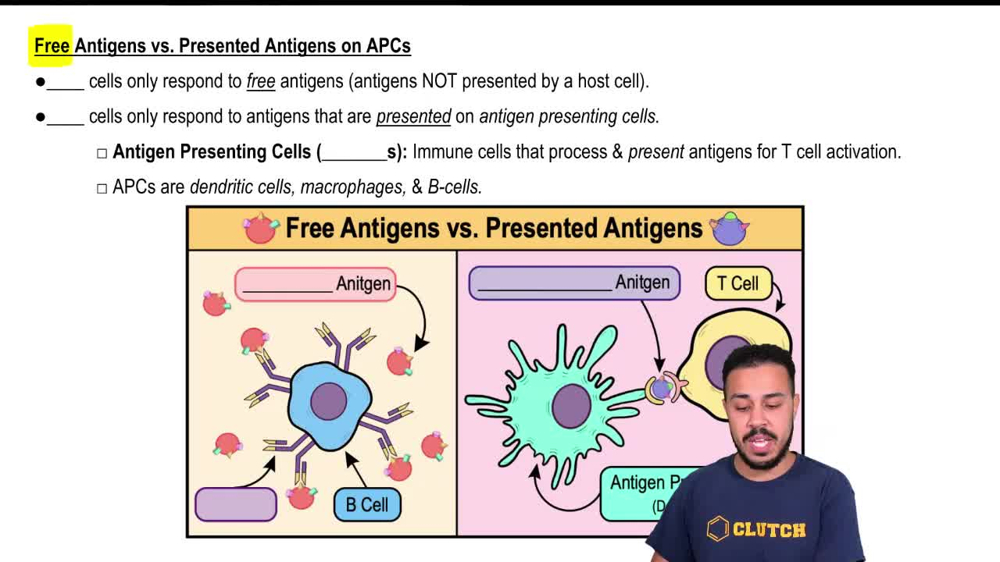 Free Antigens vs. Presented Antigens on APCs
