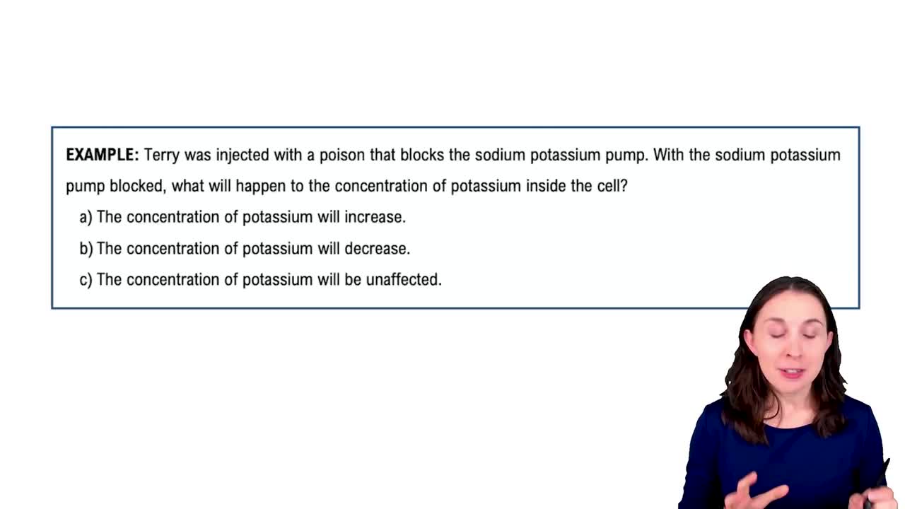 Ions - Sodium and Potassium Example 3