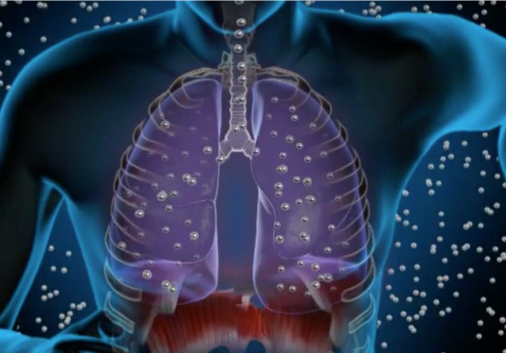 BioFlix: Gas Exchange 