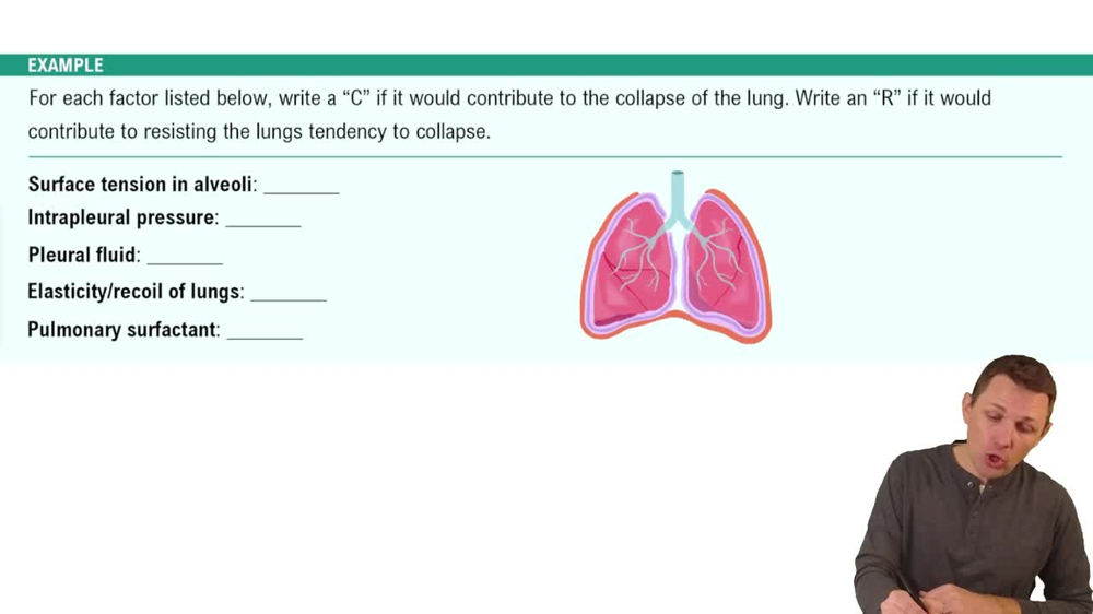 Pressure in the Lungs and Pleural Cavity Example 1
