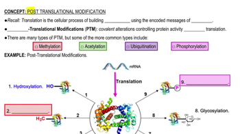 Post-Translational Modification