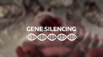 Gene Silencing by microRNAs