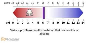 Acid Base Balance: Bicarbonate Ion Buffer