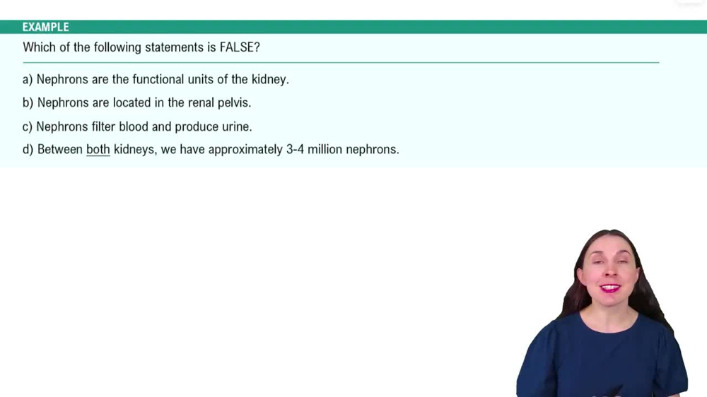 The Nephron Example 1