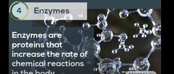 6 Functions of Proteins