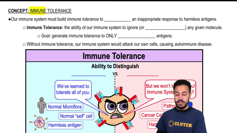 Immune Tolerance