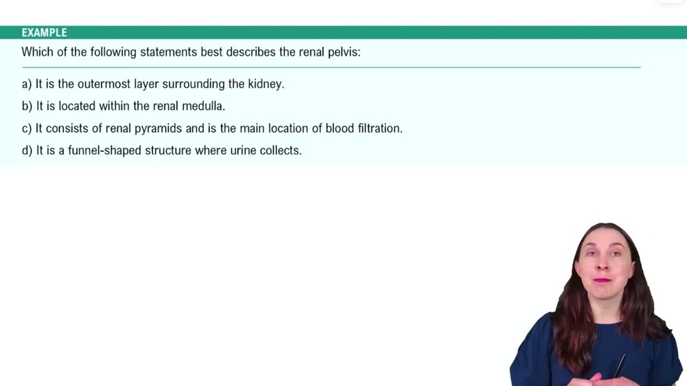 The Kidneys Example 2