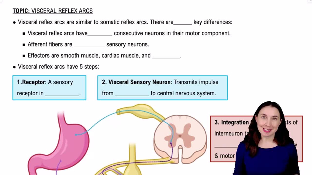 Visceral Reflex Arcs