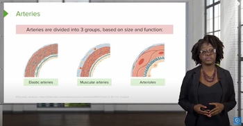 Arteries and Arterioles