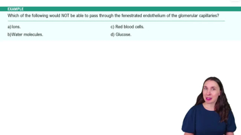 Renal Physiology Step 1: Glomerular Filtration Example 1