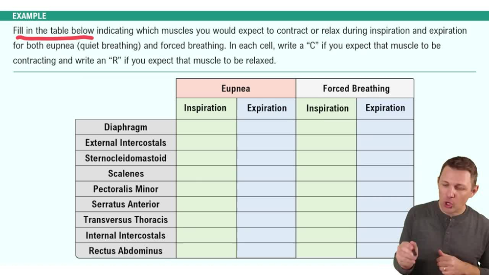 Ventilation Example 3