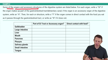 Introduction to the Digestive System Example 1